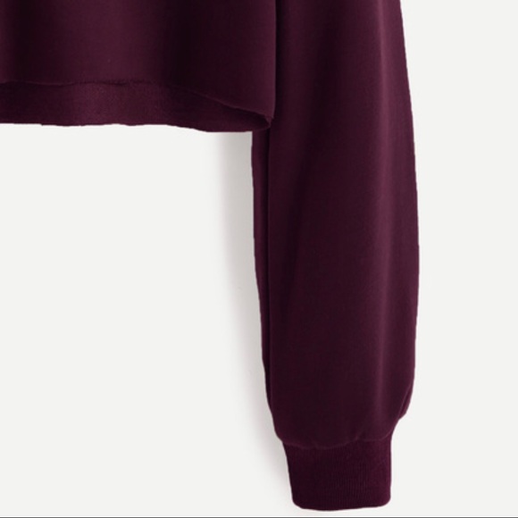 Drawstring Hooded Crop Sweatshirt - Picture 2 of 3